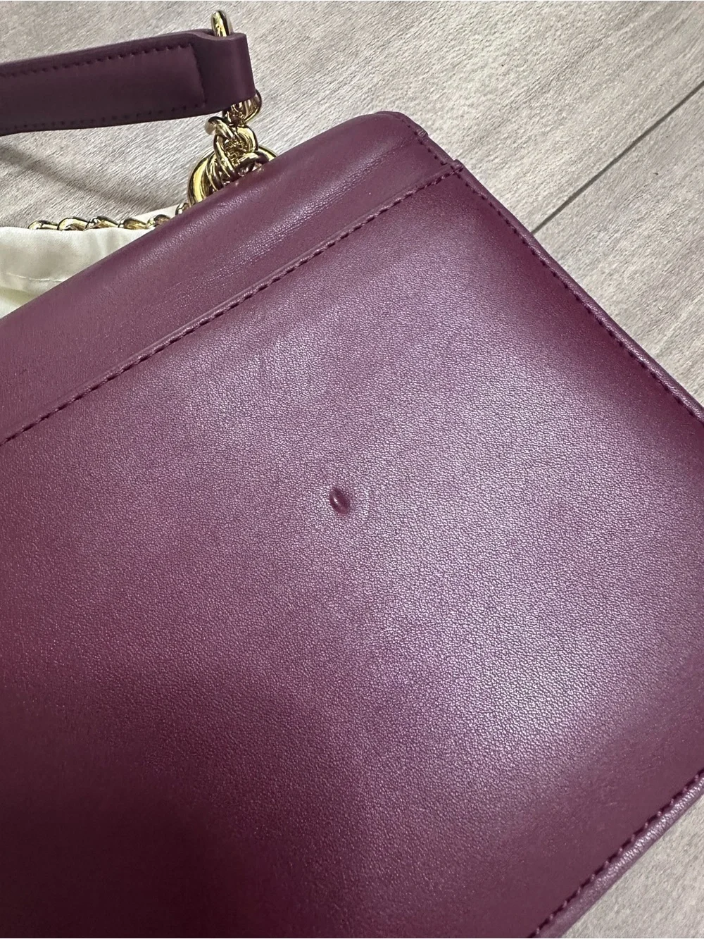 JW PEI Plum Crossbody Bag with Gold Chain Hardware